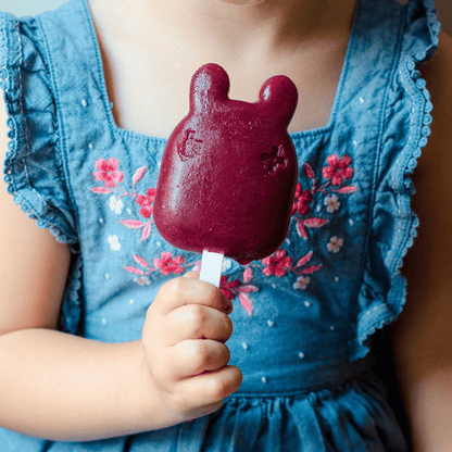 Paleta para Helado ( 6 unidades)